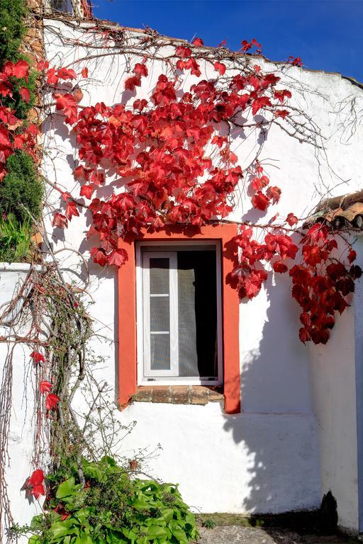 Maison d'hôtes Cortijo La Hoya à El Bujeo Extérieur photo